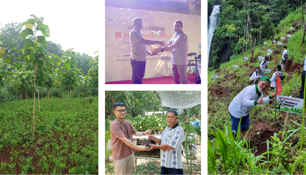 Tree Planting Activities