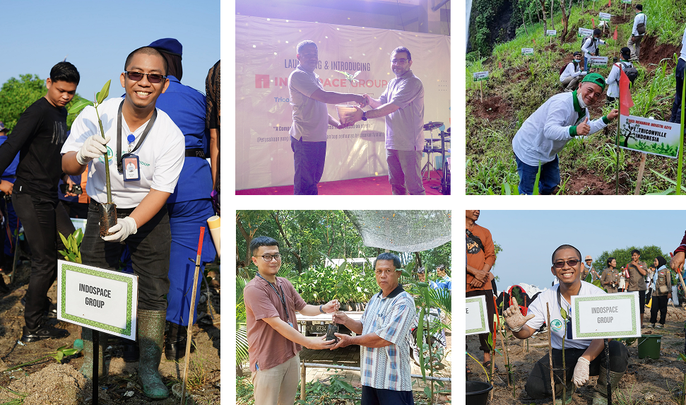 Tree Planting Activities